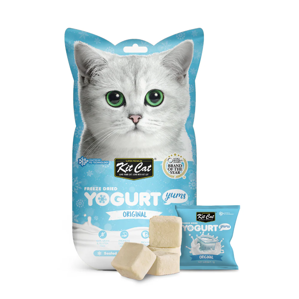 Yogurt Yums